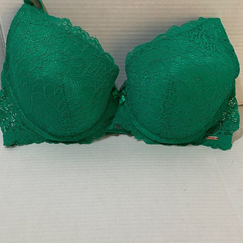 La Vie en Rose Green Lace Bra